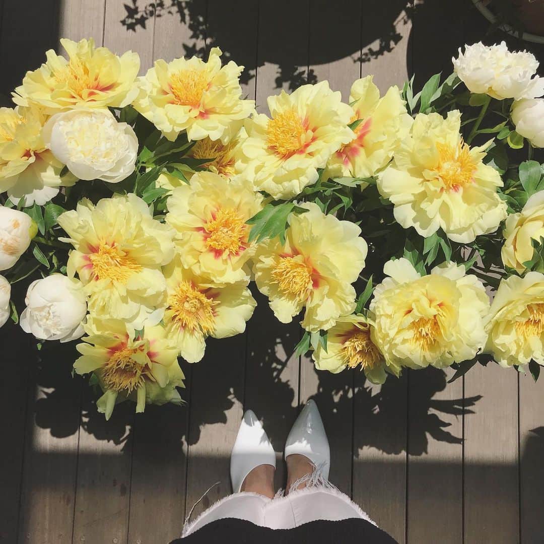 畑野ひろ子のインスタグラム：「黄色の芍薬でのレッスン。 今年も、この季節に。  #willgarden #flower #flowers #bouquet #芍薬 #yellow」