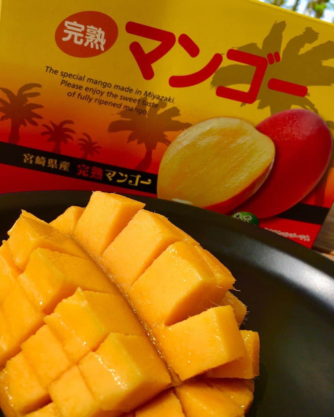 タマチャンショップ都城本店さんのインスタグラム写真 - (タマチャンショップ都城本店Instagram)「こんにちは😃. .  本日もタマチャンショップへのご来店誠に有難うございます。  暑い日が続いてきましたね！ タマチャンショップでは宮崎のマンゴー🌞も販売しております。 宮崎のマンゴーは太陽のタマゴと言われるほど全国的にも有名です。 マンゴーには免疫力を高め風邪予防にもなるビタミンCが豊富に含まれています！健康と美容に嬉しい効能をたくさん持ち合わせて、特有の甘い香りで人気のマンゴー是非お試し下さい✨ . .  #タマチャンショップ  #タマチャンショップ都城本店  #タマチャン #都城店  #カフェ #都城カフェ  #マンゴー #宮崎マンゴー  #美味しい食べ物」5月23日 15時23分 - tamachan_honten
