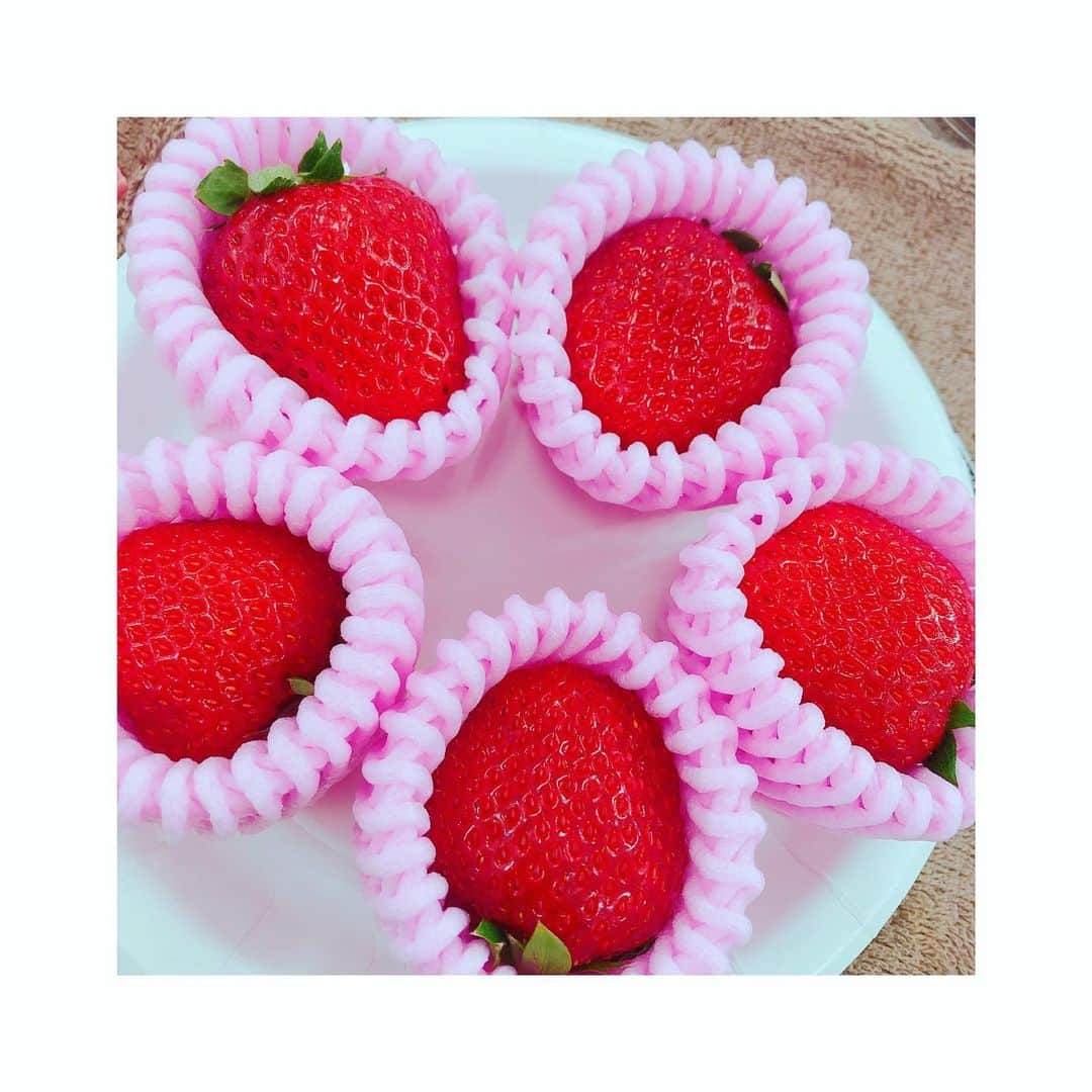 小倉唯さんのインスタグラム写真 - (小倉唯Instagram)「差し入れ🙂🍓🍓🍓 #strawberry #🍓」5月23日 15時28分 - yui_ogura_official