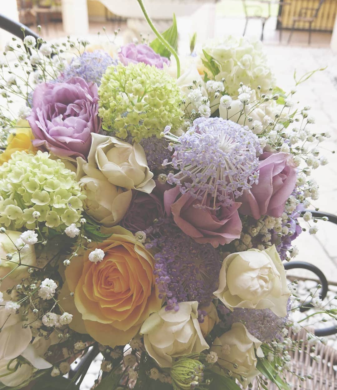 メゾン エルミタージュのグルメインスタ