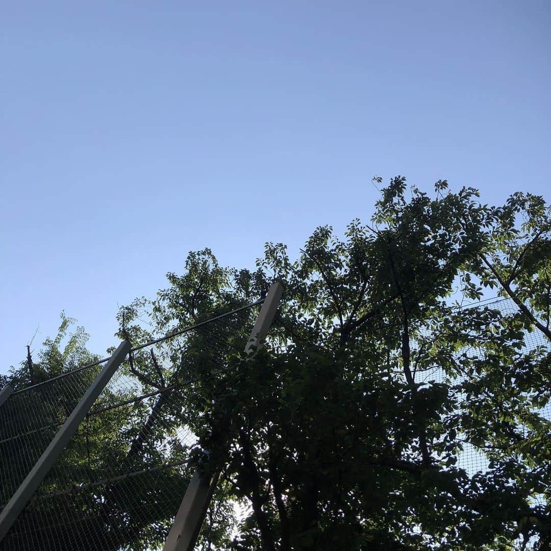 濱田マサルさんのインスタグラム写真 - (濱田マサルInstagram)「夏ってこんなに暑かったの？ って毎年思うよね。。 それにしても、夏の様なお天気👽💦 紫外線半端ない👽💦💦 アトリエのある青山は、警察官が50メートル置きにいて厳重体制👨🏻‍✈️👩🏼‍✈️ 来週トランプ大統領来日だからだそうな☝🏻」5月23日 15時47分 - hamadamasaru