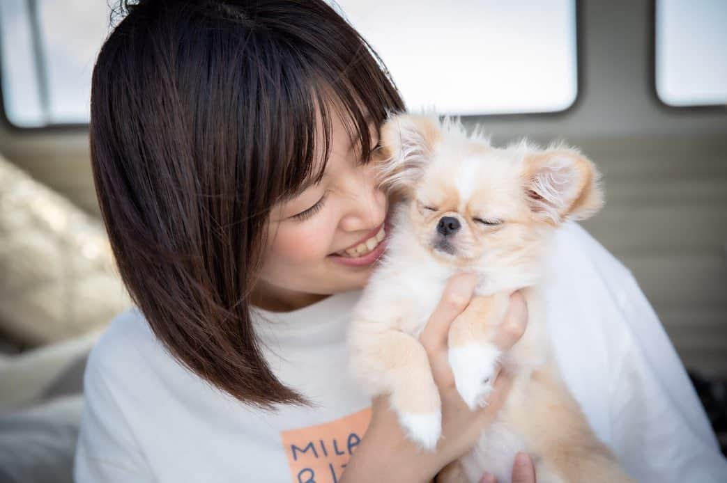 下平夏奈さんのインスタグラム写真 - (下平夏奈Instagram)「今日は 2019.5.23 ✨  私の大切な家族 ピノ🐶の ✨half birthday🎂✨ : 最初、出会った頃は とても大人しくて、おっとりした性格だったピノ。  １ヶ月、2ヶ月と 一緒に過ごすようになって いたずら好きのお転婆さんに😂‼️ 着々と キャラ変してきています(笑) : 人と会うことが大好きみたいなので これからも色んなところに旅に出て、 一緒にたくさんの経験をしたいと思います✨  これからもピノの成長を 見守っていただけたら嬉しいです!! : いつか犬好きな方と オフ会などで 新たな繋がりができたらいいな〜✨ :  @photobusjapan さん 素敵な写真をありがとうございます！  お洋服↓ @17kg_official  スポーツカジュアルが 最近のお気に入り🌟 :  #halfbirthday #家族 #ペキチワ #ペキニーズ #チワワ #犬好きな人と繋がりたい #犬カフェ #dogcafe #東京 #新宿 #千葉 #撮影 #被写体 #セカンドキャリア #好きなことを仕事に #いぬすたぐらむ #下平夏奈 #ピノ  #幸せのピノ #願いのピノ」5月23日 16時09分 - kana0412.sss