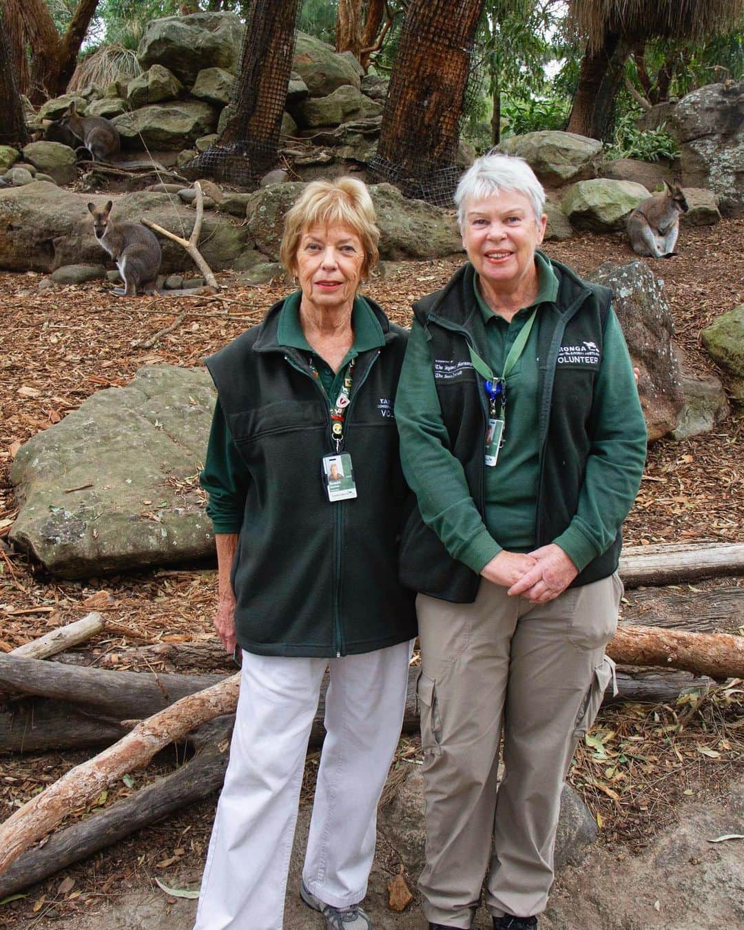 タロンガ動物園さんのインスタグラム写真 - (タロンガ動物園Instagram)「Everyone we would like you to meet Susan and Joanne, these two wonderful ladies make up a very small percentage of our volunteer family here at Taronga.⠀ ⠀ Susan has been volunteering here at Taronga for 22 years, whilst Joanne has been here for over 8 years. Both women love working with people and animals. ⠀ 'We get to meet an amazing amount of people from all over the world'  says Susan.⠀ ⠀ This week was National Volunteer Week, it is a week about acknowledging all of the amazing work our 650 Volunteers do across Taronga. We have over 45 volunteer roles and between all of them, our Volunteers just like Susan and Joanne contribute to over 110,000 hours of service each year. They are dedicated, driven individuals who some travel as far as Newcastle, the Blue Mountains, Lithgow and Orange just to name a few.⠀ ⠀ All our conservation programs that are run across 33 countries simply wouldn't be possible without the passion, enthusiasm and hard work of all these incredible individuals. ⠀ ⠀ Together, they represent a community of diverse and incredible people who care about our wildlife and the environment. And for that one reason,  we would like to say THANKYOU! ⠀ ⠀ #ForTheWild #NVW19 #NationalVolunteerWeek #volunteersydney」5月23日 16時14分 - tarongazoo