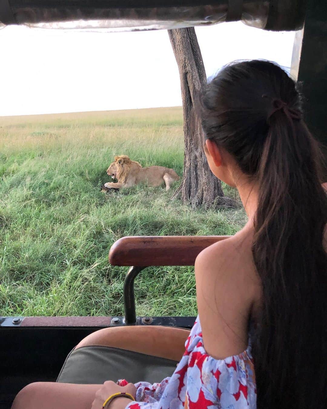 Laraさんのインスタグラム写真 - (LaraInstagram)「The animals are so lucky! They get to see such a pretty sunset everyday!! 🇰🇪 . . 毎日朝と夕方の二回サファリに連れて行ってもらったよ🐘 . .  #マサイマラ国立保護区  #ケニア #masaimara  #kenya #safari」5月23日 7時22分 - fa_la_lara