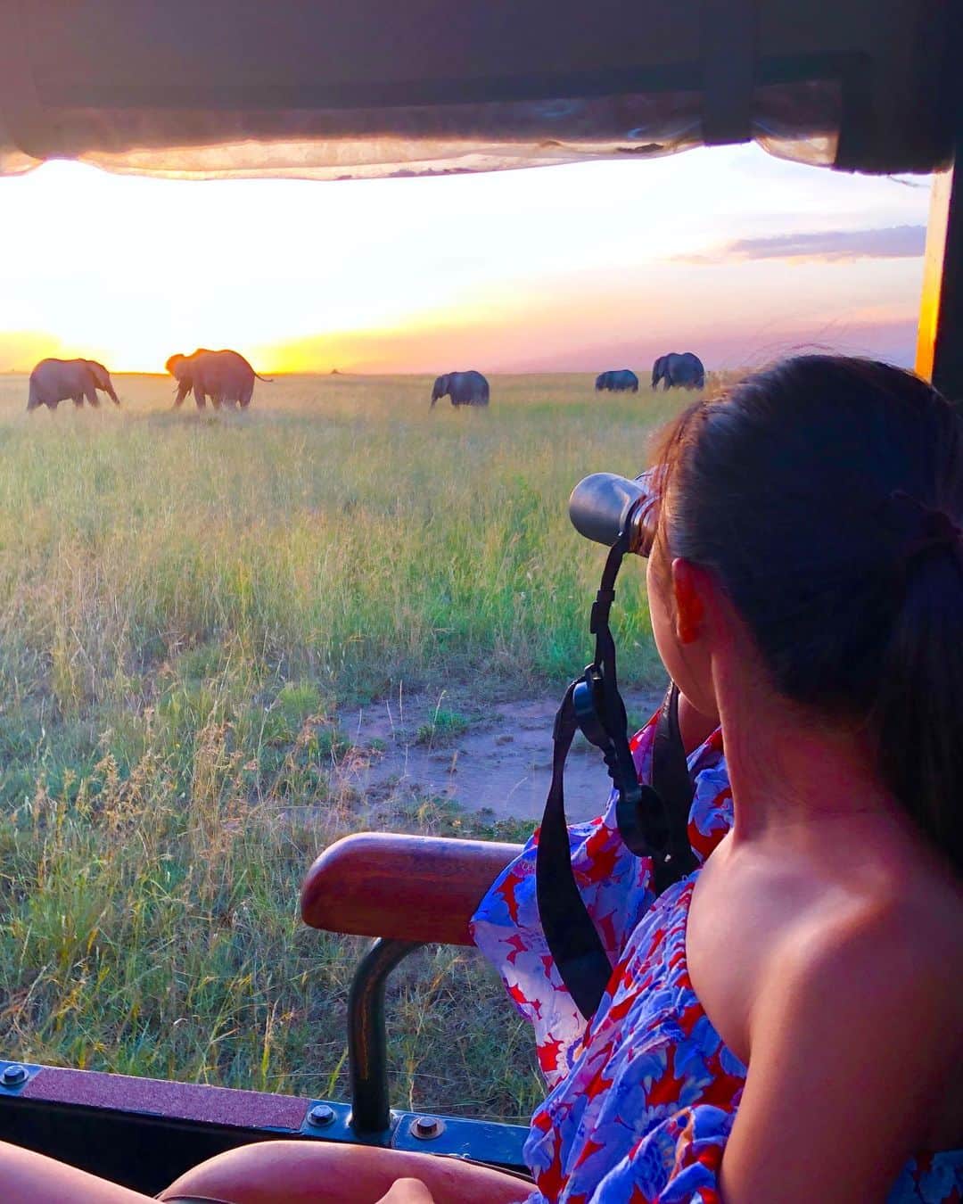 Laraさんのインスタグラム写真 - (LaraInstagram)「The animals are so lucky! They get to see such a pretty sunset everyday!! 🇰🇪 . . 毎日朝と夕方の二回サファリに連れて行ってもらったよ🐘 . .  #マサイマラ国立保護区  #ケニア #masaimara  #kenya #safari」5月23日 7時22分 - fa_la_lara