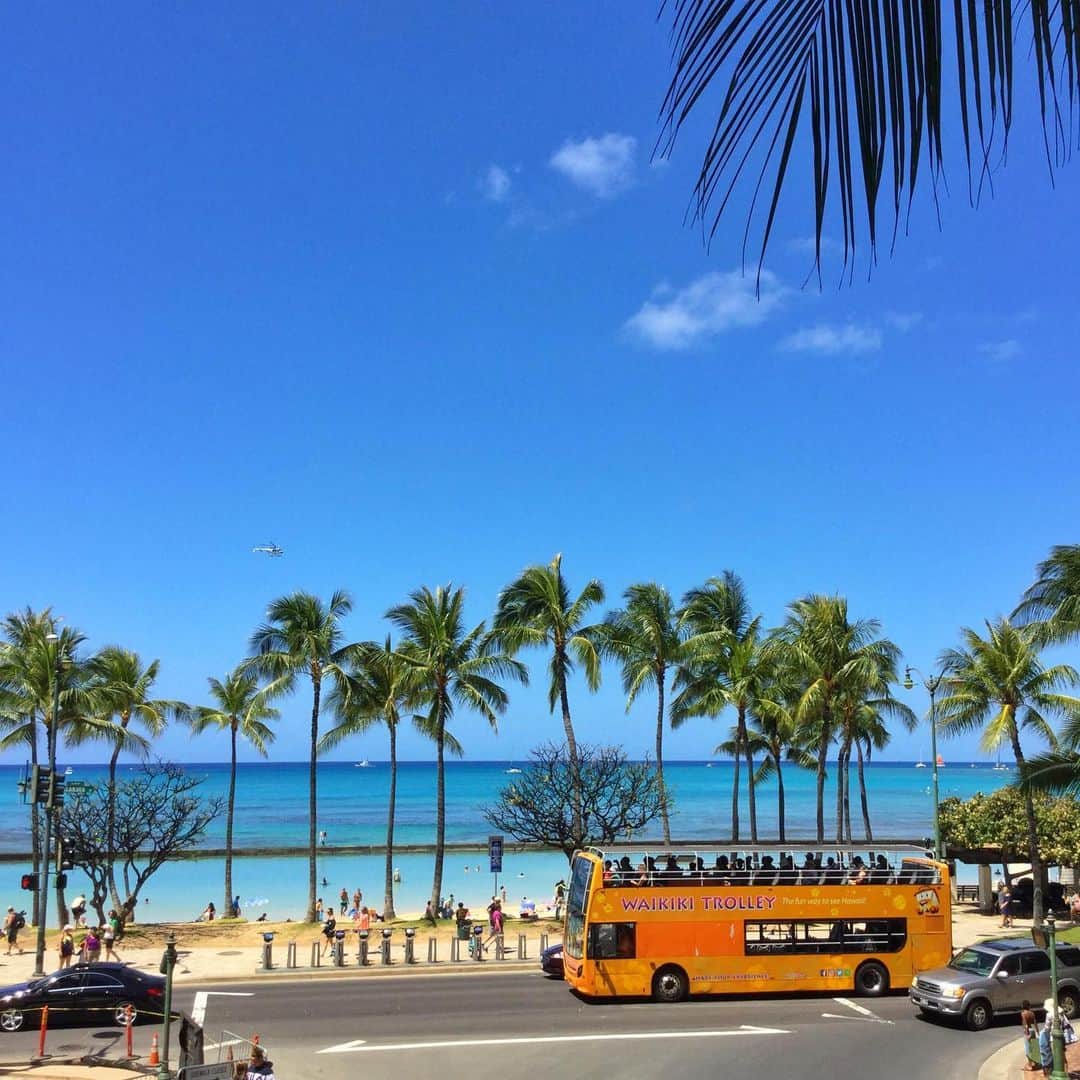 Belle Vie Hawaiiさんのインスタグラム写真 - (Belle Vie HawaiiInstagram)「青空、青い海、ヤシの木に オレンジ色のトロリーが ハワイらしい風景です🌴 ・ ・  #belleviehawaii #hawaii #waikiki #waikikibeach #aloha #honolulu #hawaiilife #honoluluhawaii #ハワイ #ベルヴィー  #ハワイ旅行 #ハワイ大好き #ハワイ好き #アロハ #ハワイコスメ #ワイキキ #ホノルル #オアフ島 #ハワイ生活 #ワイキキビーチ #ハワイ好きな人と繋がりたい」5月23日 7時56分 - belleviehawaii