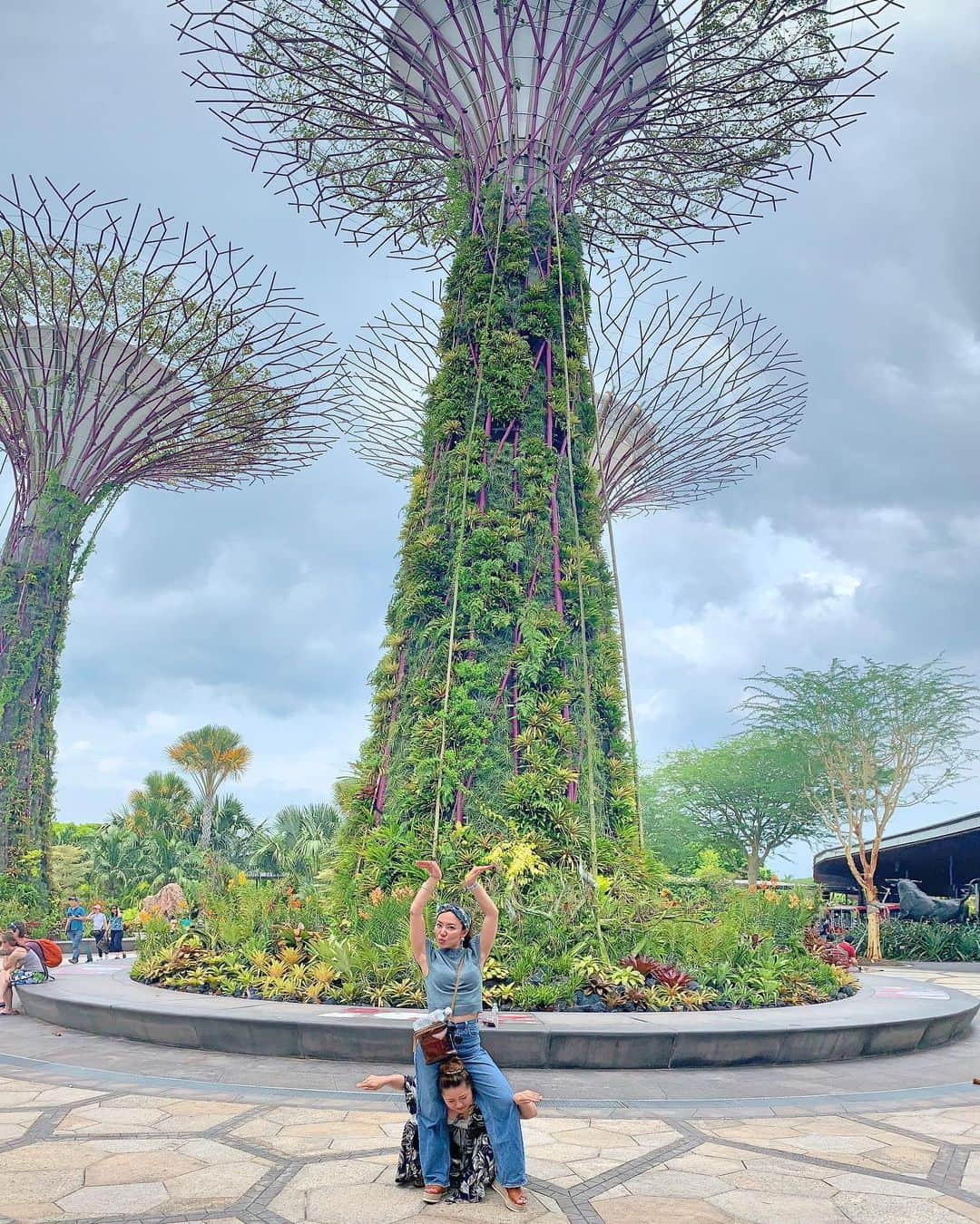 長嶺菜菜子のインスタグラム：「✈︎シンガポール観光  見てこの異世界🌳👯‍♀️🌳👯‍♀️﻿ ﻿ ﻿ 何かわからないけど﻿ 取り敢えずデカいし﻿ 近未来っぽいし﻿ ﻿ ﻿ シンガポールの観光名所﻿ ガーデンズ バイ ザ ベイ﻿ に行ってきたヾ(*･∀︎･*)ﾉﾞ﻿ ﻿ ﻿ 超超超超超  巨大な植物園🌲🌼﻿ ﻿ ﻿ マリーナベイサンズのすぐ隣にあって﻿ 国立公園で3つの庭園で構成されてた！！﻿ ﻿ ﻿ 花や緑、森、滝、があって癒され空間😚✨✨﻿ ﻿ ﻿ でっかい植物園ですな﻿ 取り敢えず﻿ 考えた人﻿ 作った人﻿ 尊敬する( '∀︎' )﻿ ﻿ ﻿ ﻿ #旅行 #旅 #旅女子 #旅行好き ﻿﻿﻿﻿ #タビジョ #シンガポール #シンガポール観光﻿﻿﻿ #シンガポール国立公園 #庭園 #公園 #植物園﻿ #ガーデンズバイザベイ﻿ #ボヤジンフォトコン秋2019 #旅なな」