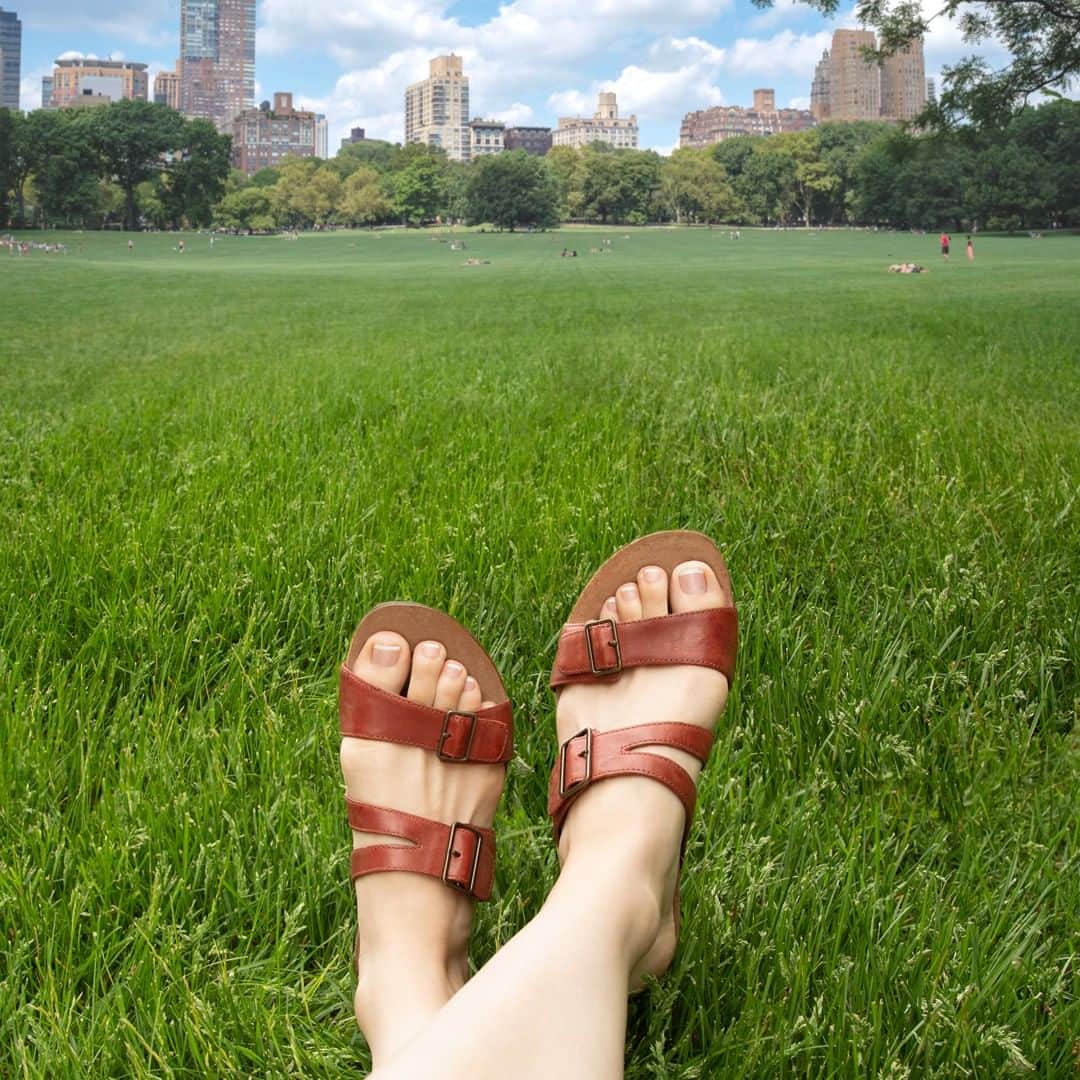 ダンスコのインスタグラム：「That feeling when the weather finally clears up.」
