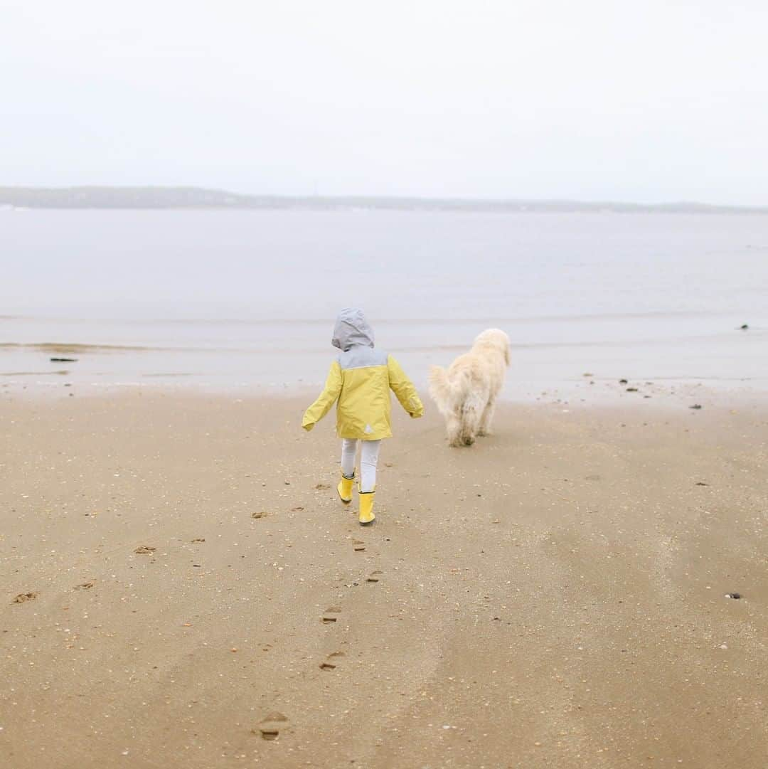 L.L.Beanさんのインスタグラム写真 - (L.L.BeanInstagram)「Dogs, don't forget to take your humans for a walk today. #BeanOutsider (📷: @sylviatribel) Tap the image to shop.」5月23日 9時03分 - llbean