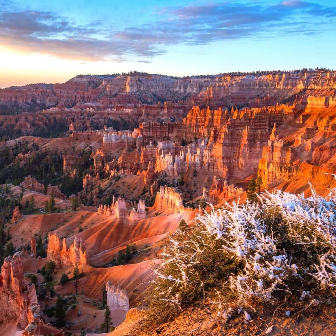 アメリカ内務省さんのインスタグラム写真 - (アメリカ内務省Instagram)「Any #sunrise witnessed from Sunrise Point overlook at #BryceCanyon #NationalPark holds a certain magic. The way the hoodoos glow in the morning light and the shadows shift across the rugged landscape make every moment spellbinding. Situated along a high #Utah plateau, the park includes numerous life communities, fantastic dark skies and geological formations that defy description. Photo @brycecanyonnps_gov by Paul Evans (www.sharetheexperience.org). #travel #FindYourPark #usinterior」5月23日 9時15分 - usinterior