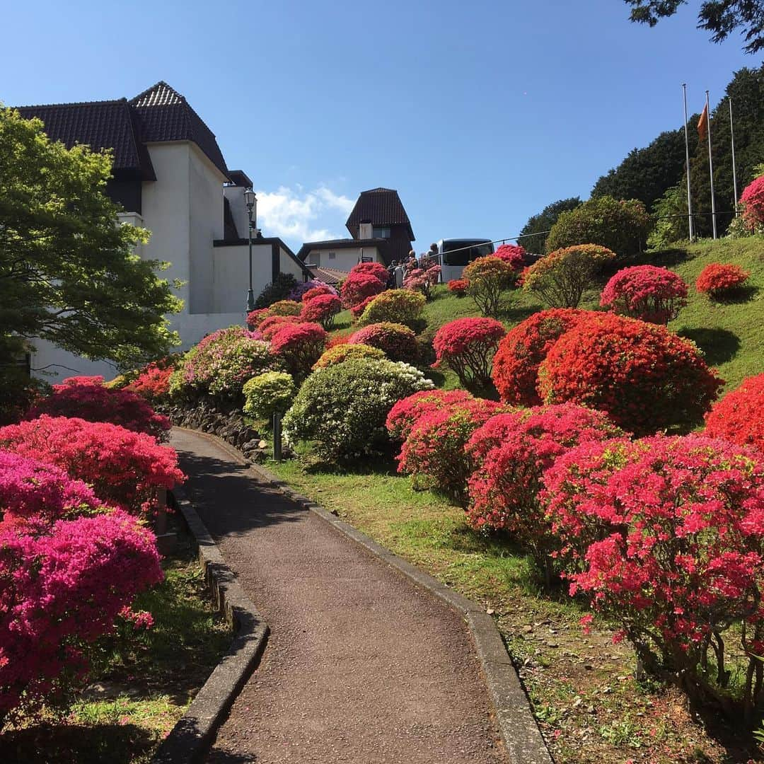 瀬口えりなさんのインスタグラム写真 - (瀬口えりなInstagram)「. 箱根の山のホテル つつじ開花14日目💕💕 テレビで観て、ソッコー行ったwww . #箱根神社 で大吉ひいたあとに、そのままトコトコ歩いて向かいました✌️✌️ ちょっとした登山だった笑笑 . 帰りは箱根港まで無料のシャトルバスがあるのでそれに乗ったから楽チン😎😎 毎年つつじ祭りの参加者は無料だったり有料だったりするらしいんですけど、今年は無料でした🎵 小田急運営だから新宿↔山のホテル直通バスがあるの強いw . #時差投稿#山のホテル#旅行#花見#つつじ#つつじ祭り#芦ノ湖# しゃくなげ#カメラ好きと繋がりたい#photo#flower #trip#yamanohotel #food#hakone#hakone_enjoy #model#fashon#dj#actress #event#companion#promotionalmodel」5月23日 9時25分 - seguchierina