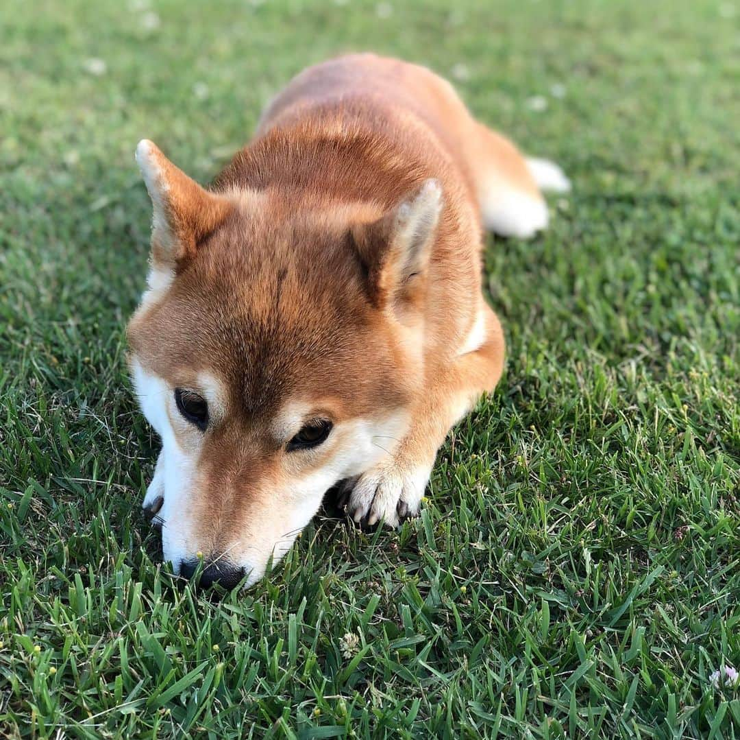 舞名里音のインスタグラム