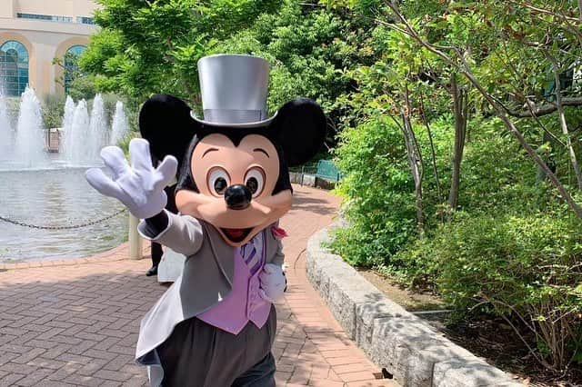 なちゅさんのインスタグラム写真 - (なちゅInstagram)「#DisneyWedding  みんなミッキー見てる? 私妹しか見てない♥️‪𐤔𐤔‬ きゃわー💓✨✨✨ ミッキーにﾀｼﾞﾀｼﾞにされてる 旦那も鬼かわいい💓 もはや、幸せ過ぎて 私まで結婚式やりきった感. えちょの幸せ俺の幸せ！ もうリア充過ぎる❤️❤️❤️✨ えちょの友達がみんな 良い子で素敵な人間性で, 私も友達には そうしてあげようって 思わせてくれる✨✧︎ いつもありがとうね🙇‍♀️ 姉は精進しますっ てかてか写真きゃわーわ!!💓💒💕✨ #妹 #結婚式 #ウエディングドレス #ディズニーランド #mickeymouse #チャペル #disneyland #アンバサダーホテル #結婚 #HappyWedding #みんなからの写真 #何万枚 #sister #tokyDisneyland #シスコン #結婚おめでとう💓 #ブーケみくにん #ブッチャーブラザーズ 様ご乾杯 #カンニング竹山 様スピーチ #相澤社長 様主賓挨拶 #感謝 #偉人 #ミッキーもビックリ #竹山さんのTwitter #竹山さんRadioでめっちゃ話してくださってる #有難さ #💍 @echan12o2  @disney @disneyland @tokyodisneyresort_official  @mikuni1118 @ichiko0828 #りー班 @mikuni1118 @sakamoto.erina」5月23日 9時40分 - nachudesu1223