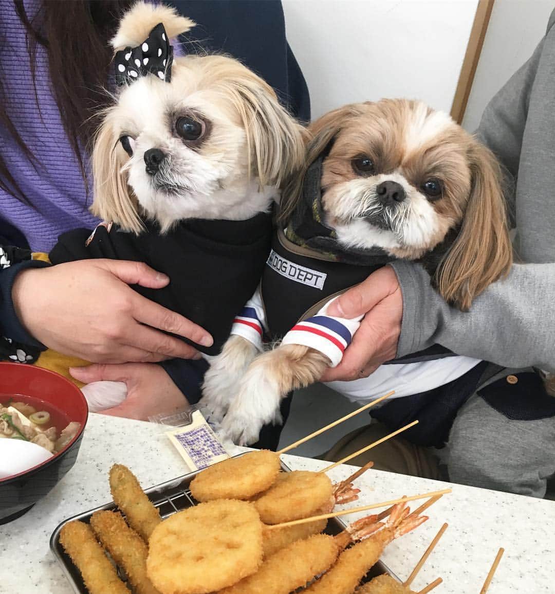 串カツ田中のインスタグラム
