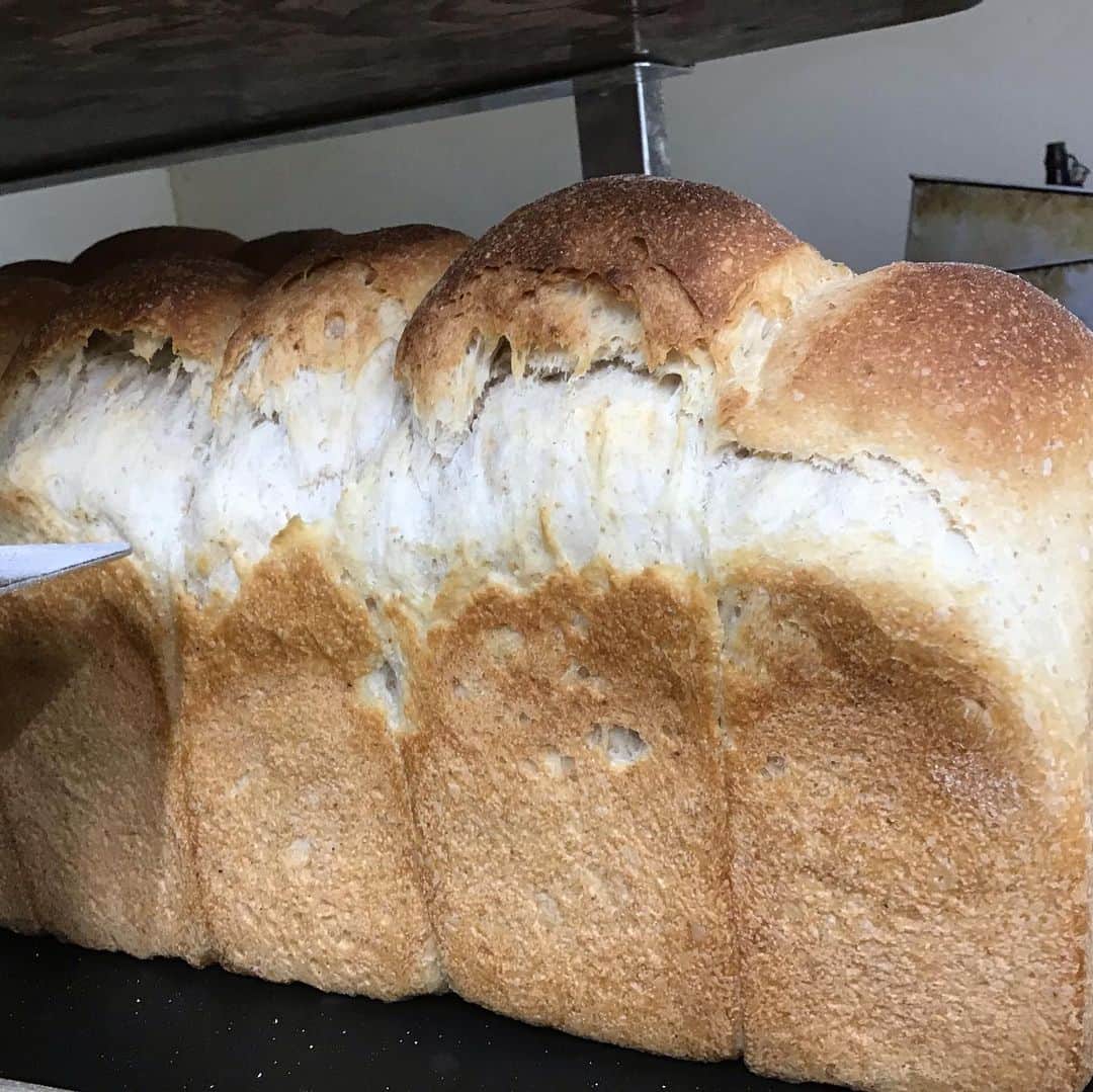 魔女菅原のグルメインスタ