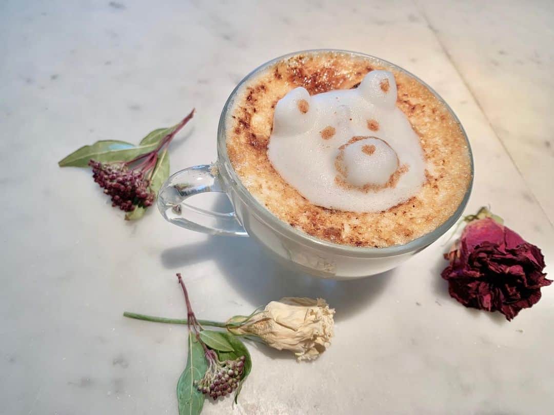 カフェ ジョルジオ 金沢のグルメインスタ