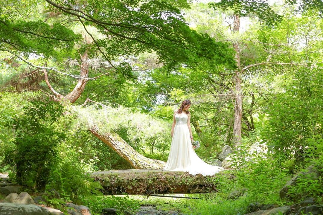 Decollte Wedding Photographyさんのインスタグラム写真 - (Decollte Wedding PhotographyInstagram)「🍀Fresh greenery season🌿﻿ ﻿ Beautiful greenery is available in summer🌻﻿ ﻿ ［ Kyoto Yasaka pagoda 八坂の塔 ］﻿ ［ Kyoto Zuishin-in 随心院 ］﻿ ﻿ Photo by @y_yamamura_tvb﻿ ﻿ @studiotvbkyoto﻿ @decollte_weddingphoto﻿ @decollte_weddingstyle﻿ ﻿ #Japan #kyoto #weddingphotography #prewedding #japanprewedding #preweddingshoot #weddingdress #summer #love #greenery #Yasaka #婚紗 #婚紗攝影 #八坂 #海外婚紗 #花嫁 #唯美 #夏天」5月23日 10時58分 - d_weddingphoto_jp