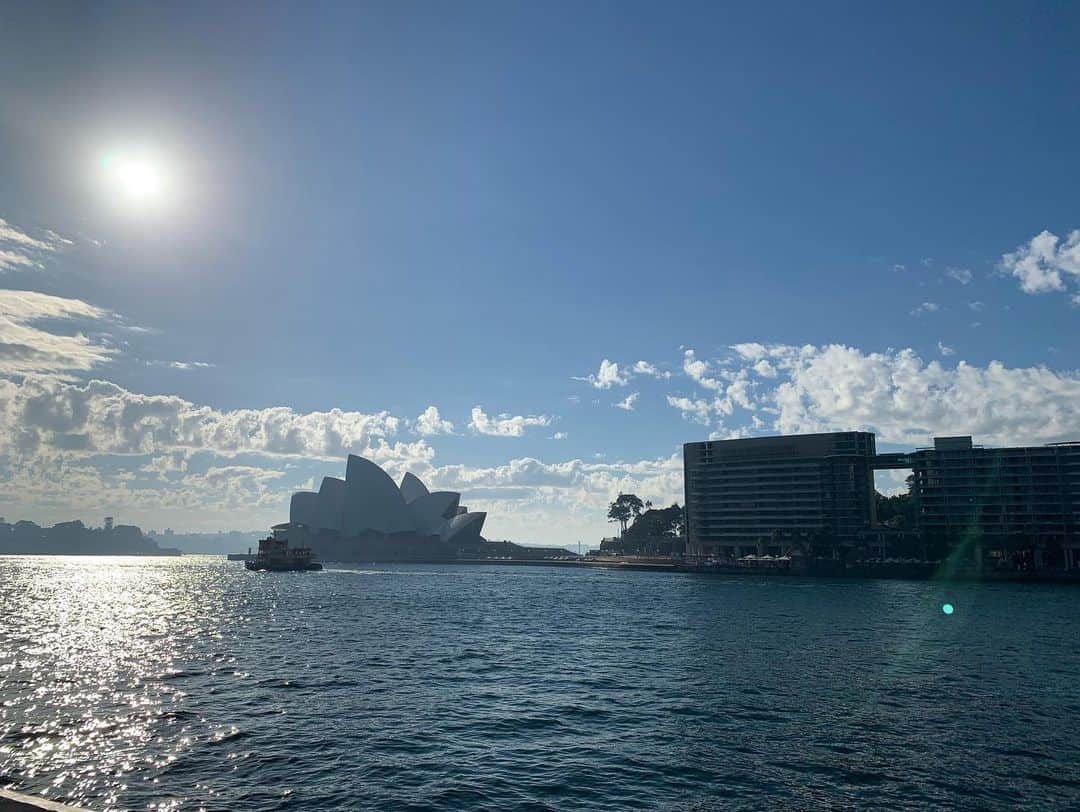 こにわさんのインスタグラム写真 - (こにわInstagram)「Sydney Suns Collection. You are Sun from today.  #australia #sydney #sun #photograph」5月23日 11時06分 - koniwa1982
