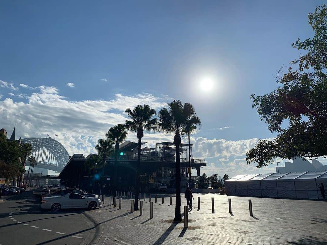 こにわさんのインスタグラム写真 - (こにわInstagram)「Sydney Suns Collection. You are Sun from today.  #australia #sydney #sun #photograph」5月23日 11時06分 - koniwa1982