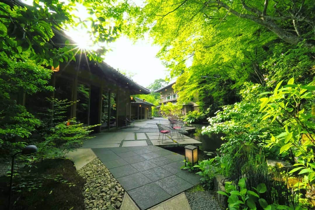 HOSHINOYA｜星のやさんのインスタグラム写真 - (HOSHINOYA｜星のやInstagram)「How beautiful green gradation! #hoshinoyakyoto #kyoto #arashiyama #hoshinoya #hoshinoresorts #星のや京都 #京都 #嵐山 #星のや #星野リゾート#morning #sunrise #garden #朝 #新緑」5月23日 11時39分 - hoshinoya.official