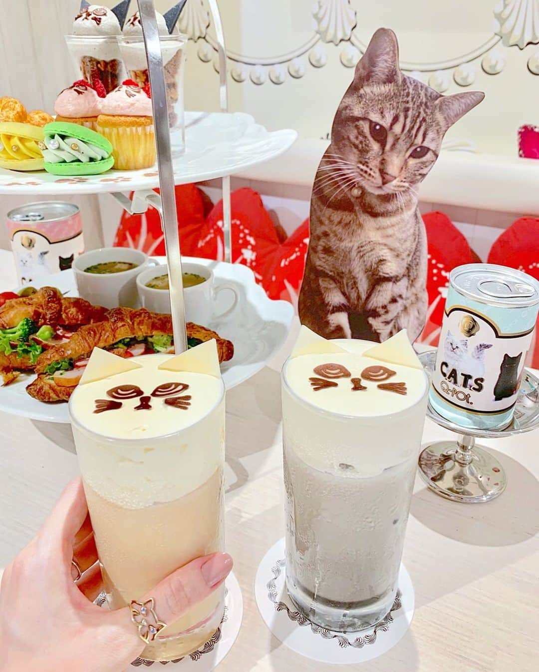 佐藤瀬奈さんのインスタグラム写真 - (佐藤瀬奈Instagram)「念願のQ-pot ネコCAFE. に行ってきたよ〜🐱❤️❤️⠀ ⠀ 可愛い可愛い😭💕 猫バカには天国のような空間でした…🤤⠀ ⠀ パフェも可愛すぎたから悩んだけど、今回はアフタヌーンセットとティーラテを注文🥰⠀ ⠀ 大雨の日だったから店内も空いていて まったり過ごす事ができました💕⠀ ⠀ 去年カフェの場所が移転したので、久しぶりに行く子は気をつけてね🥺✨ ・ ・ ・ #qpotcafe #キューポットカフェ」5月23日 11時56分 - senapuu