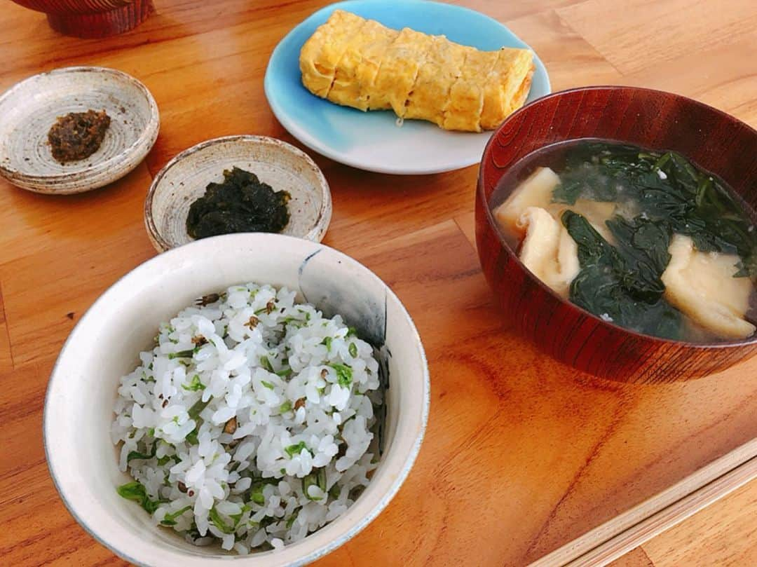 菅原沙樹さんのインスタグラム写真 - (菅原沙樹Instagram)「朝ご飯兼昼ご飯。 さきみちゃんが新潟で採ってきてくれた山菜コシアブラでコシアブラご飯🍚 香りがたまらん🤤 #トーキョー嫁ご飯 #トーキョー家族ご飯」5月23日 12時24分 - saki313apo