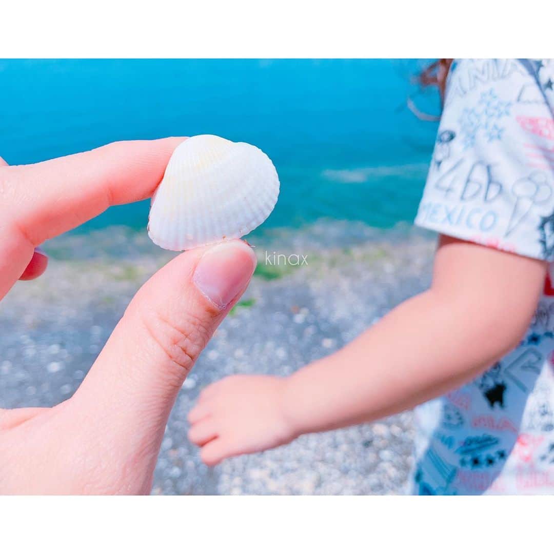 kinaxのインスタグラム：「. good afternoon(๑′ᴗ‵๑)☀in Japan, and good morning, good evening, good night for world friends! . 今日は夏日だねぇ🏖 水遊びしたがったので、今日は海に🏝 . むちこさんは、石とか貝殻を ぽいぽい投げて遊んでいたんだけど 急に戻ってきたと思ったら 「まま、こえ きれいよーあげう！」 ってくれたよʕ •́؈•̀ ₎🐚 . かわいいねぇ♡ . . そして海の側に住んでいて、よく見てるはずなのに 波が寄せてくるのを見て 「うわー！すごいー！」 って毎回驚くむちこさんʕ •́؈•̀ ₎笑 . 面白いねぇ♡ . . 今日は本当暑いから、みんなも水分補給して 過ごしてねʕ •́؈•̀ ₎ . #親バカ部 #kinaxvideo #海 #ワカメいっぱい #自分から入って行ったのに #ワカメまみれになって私が怒られた 2019/05/23」