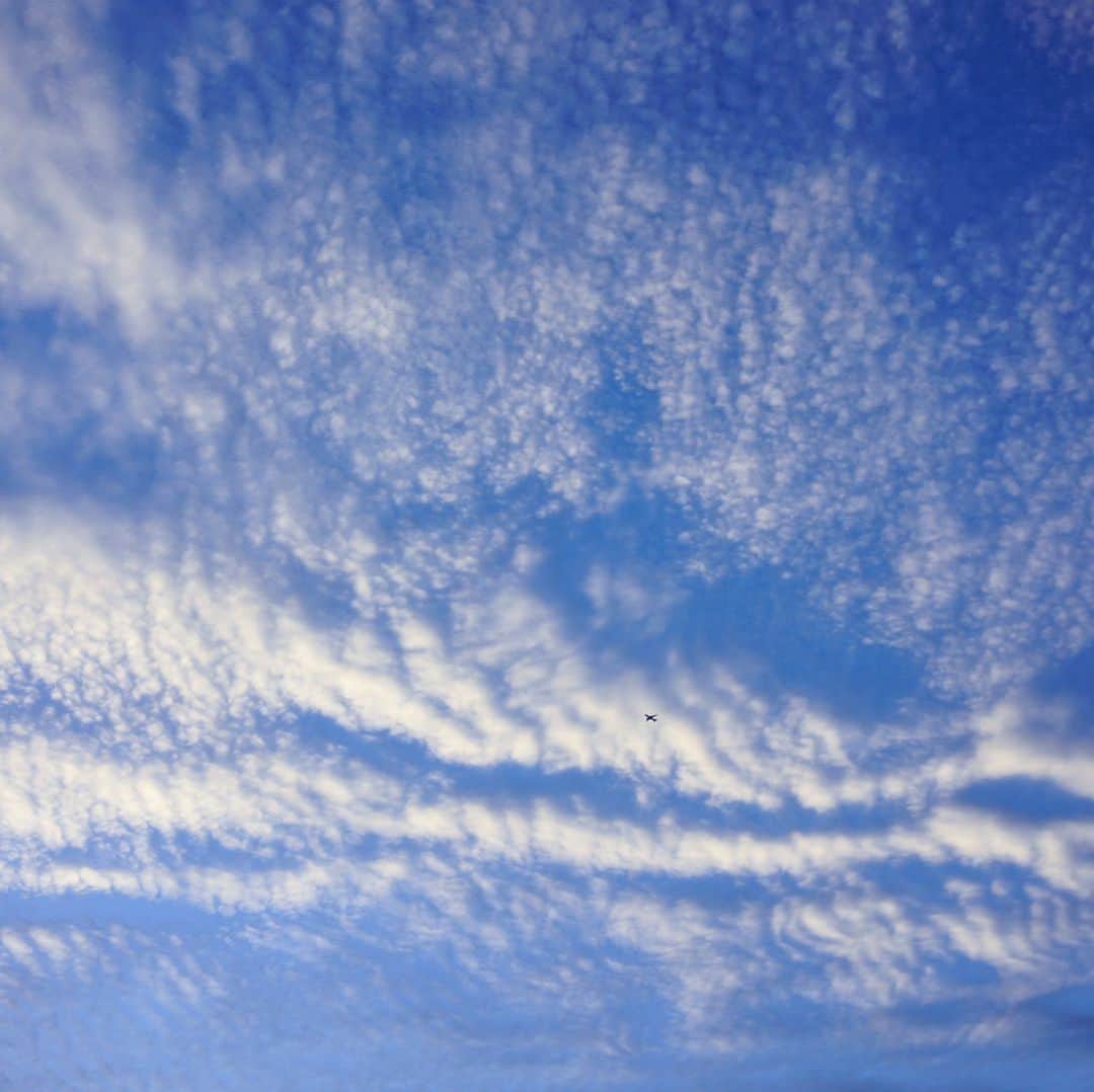 成田美寿々さんのインスタグラム写真 - (成田美寿々Instagram)「綺麗な空。夕暮れ時。 #イマソラ #昨日だけどw #写真好きな人と繋がりたい  #趣味photo #photo #夕暮れ時  #ポツンと飛行機」5月23日 12時36分 - misuzunarita
