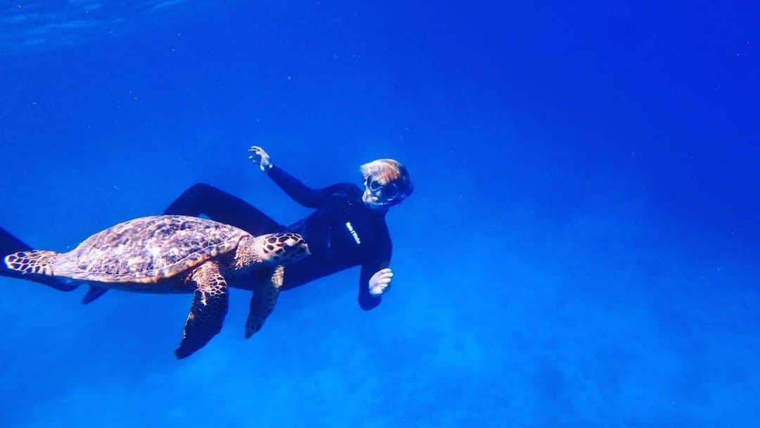 山田親太朗さんのインスタグラム写真 - (山田親太朗Instagram)「#世界亀の日 #こないだウミガメと泳いだよ #今年にダイビングにもっと行こう」5月23日 12時49分 - shintaro.y