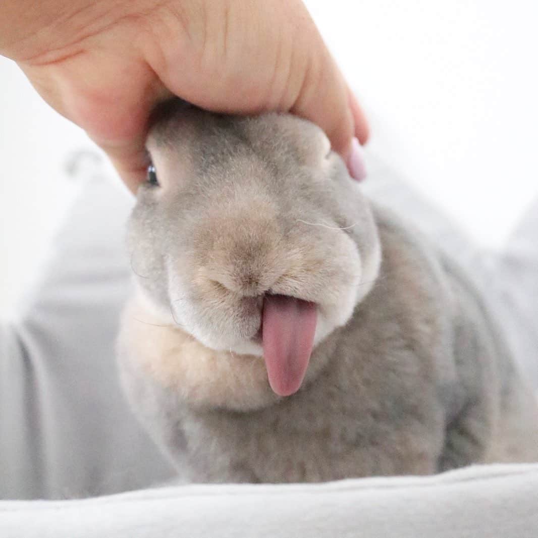 Kayoのインスタグラム：「本気出した時の長さ👅」