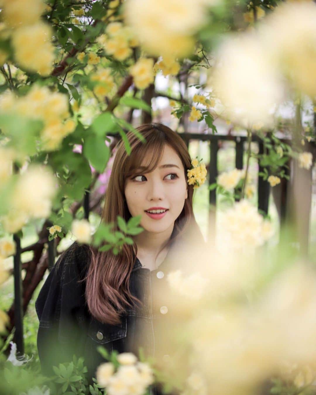 菜々香のインスタグラム：「毎日いろんな大小の 全然違う波が自分のところへ来て 流していくものもあれば 置いていくものもある 流したと思えば 帰ってくるものもある そいつは繰り返して 浮遊してる  直感に従うことにする。 あーいい天気。 #flowers#loveit#flower#mood#moody#ootd#lifestyle#instagram#instagood#singer#funday#instananaka#nanaka#菜々香 photo by / @kakeru_styles」