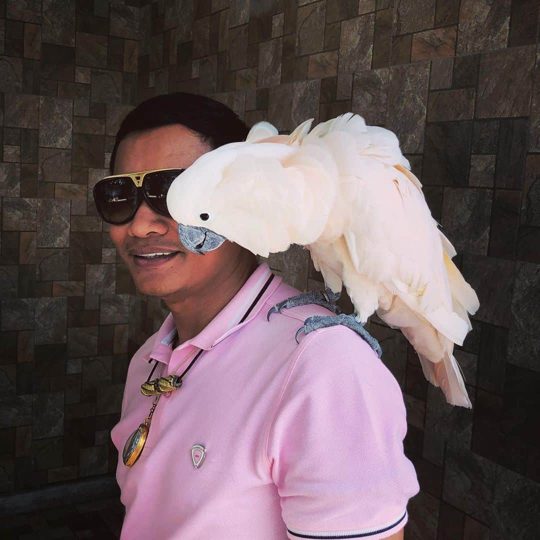 トニー・ジャーのインスタグラム：「Good morning 😃」