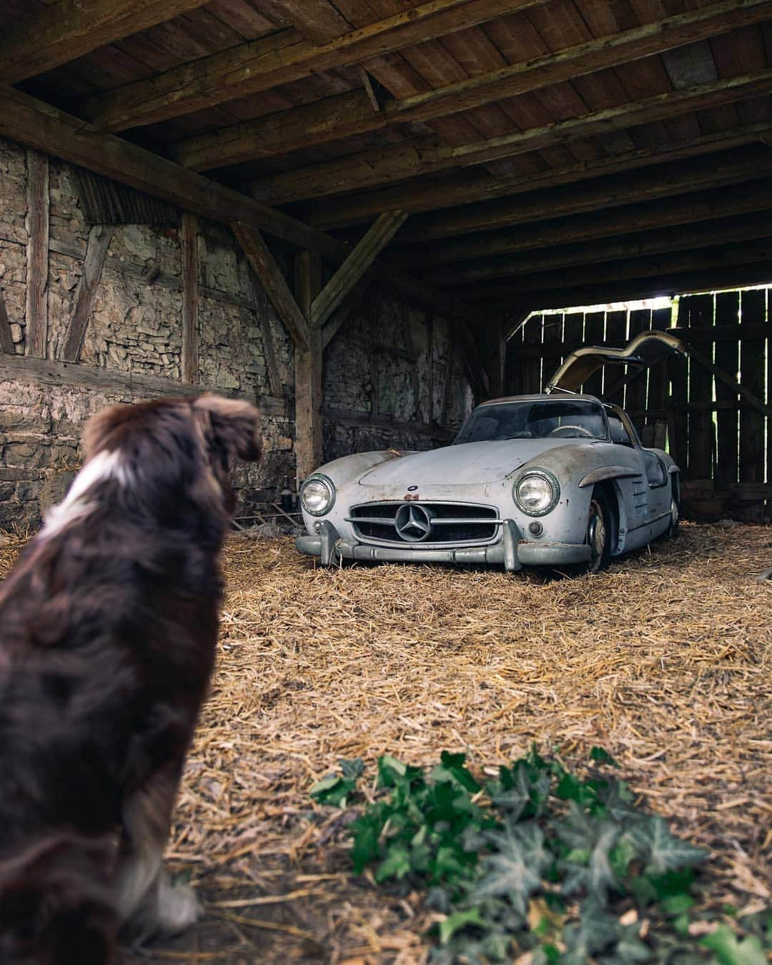 Kik:SoLeimanRTさんのインスタグラム写真 - (Kik:SoLeimanRTInstagram)「@alexpenfold Ah, I forgot I left that there. @mechatronik_official #mercedesbenz #300sl #barnfind #mechatronik」5月23日 14時18分 - carinstagram