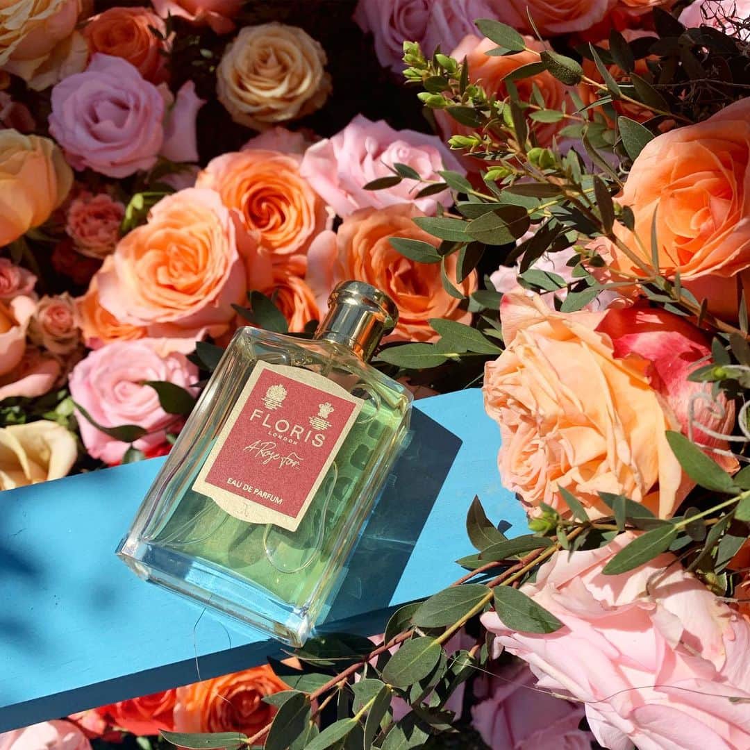 フローリスさんのインスタグラム写真 - (フローリスInstagram)「A Rose For... Eau de Parfum was inspired by the deep floral scent of Moroccan rose fields. Which of our floral fragrances is your favourite? #FlorisLondon #ARoseFor #EaudeParfum #Perfume #FloralFragrance #Summer #Roses #Rose #Fragrance #Scent #RoseFragrance #Flowers #ChelseaFlowerShow #London」5月24日 1時45分 - florislondon