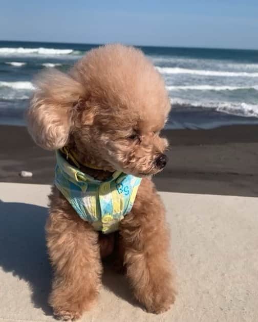 ❤︎Till❤︎のグルメインスタ