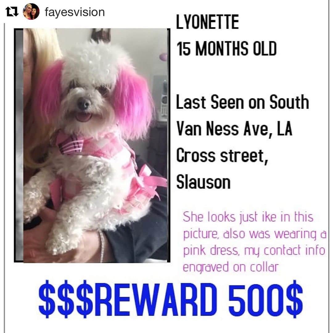 シャーニ・ヴィンソンのインスタグラム：「ATTENTION LOS ANGELES!!! Please keep your eyes peeled for this gorgeous little lady! Her name is LYONETTE and she was #stolen from her backyard in Los Angeles. She is a #maltipoo with pink ears and a pink tail. My heart breaks for my friend @fayesvision and her baby @my_lyonette 💔 Help spread the word! #lostdog #reward  #Repost @fayesvision with @get_repost ・・・ Please spread the word to all your friends help a puppy find her way back home i miss @my_lyonette so much i can't sleep. Please help any way you can. To spread the word. Thank you.」