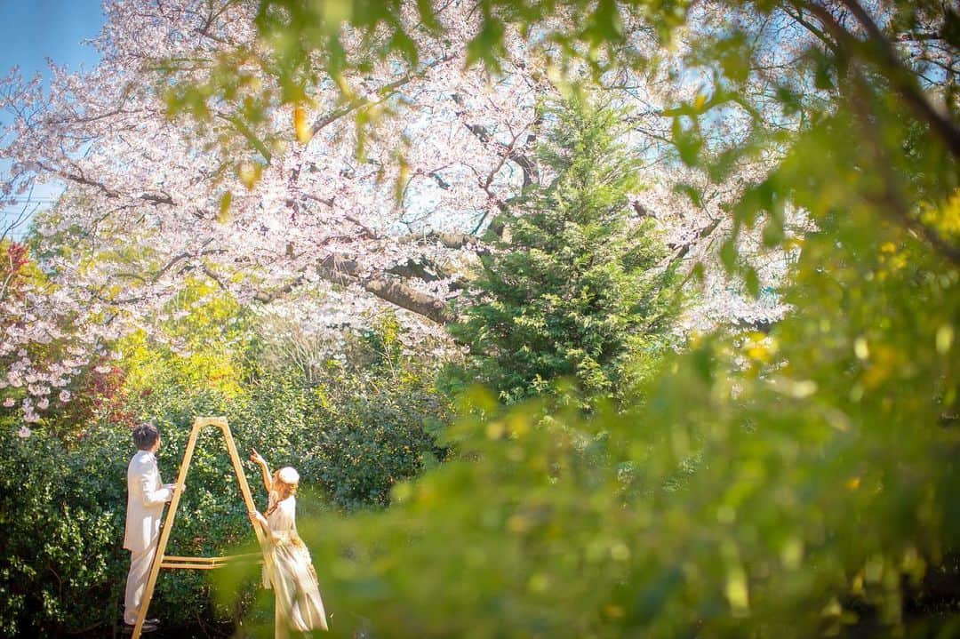 ラクラリエールのグルメインスタ
