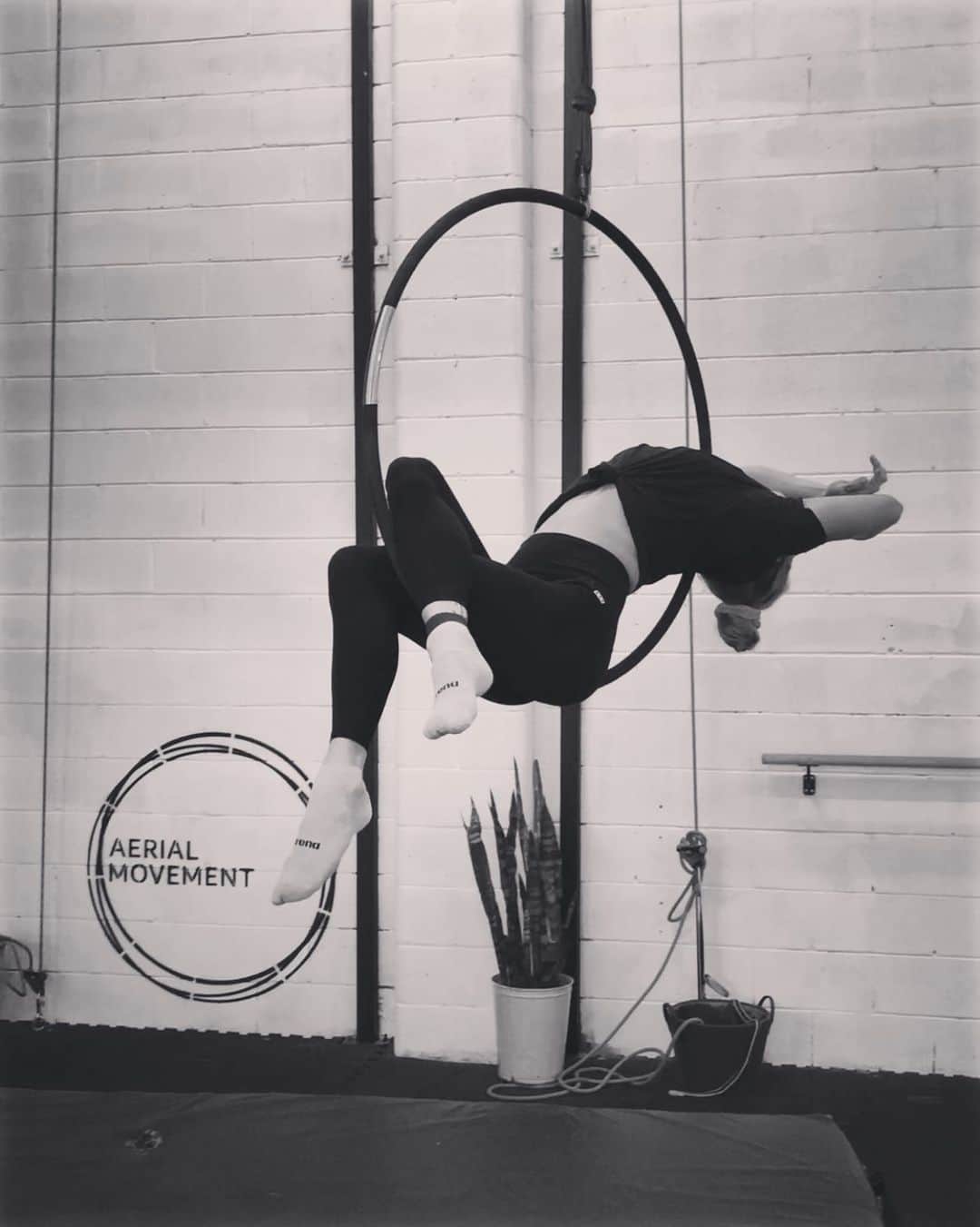 エミリー・シーボームのインスタグラム：「Paint me like a French girl  @aerial.movement.brisbane #lyra #aerial」