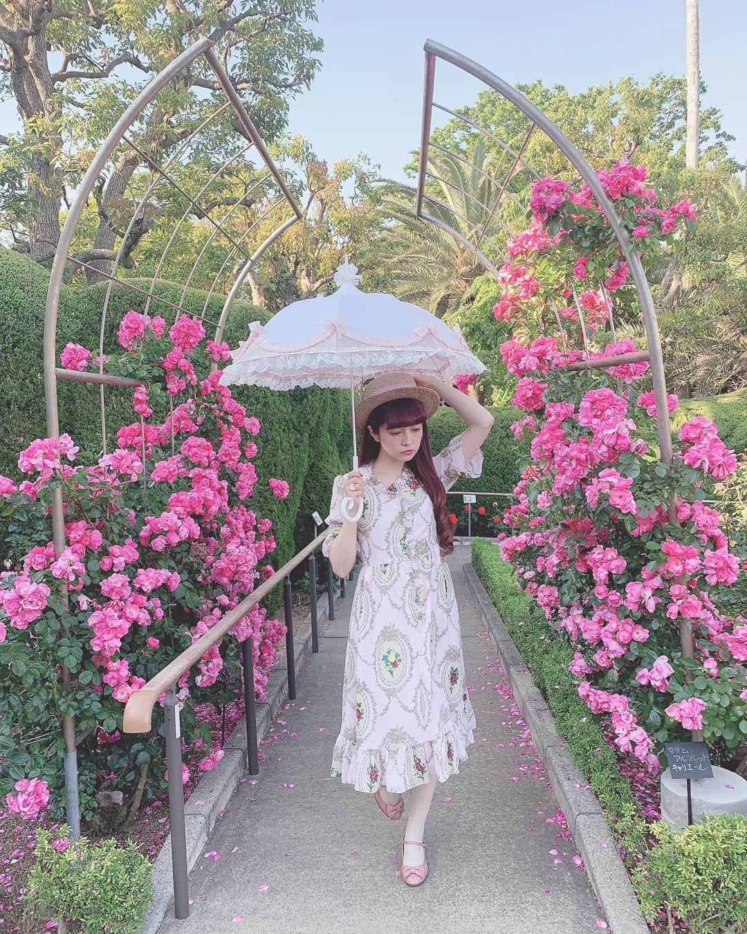 青木美沙子さんのインスタグラム写真 - (青木美沙子Instagram)「薔薇🌹 #バラ園」5月23日 17時11分 - misakoaoki