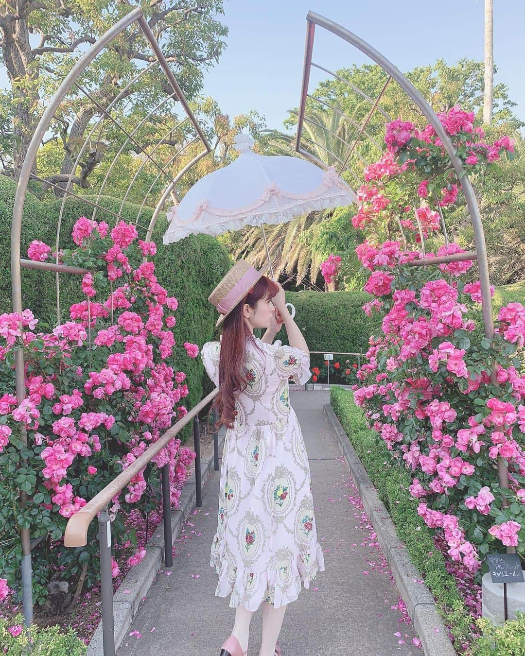 青木美沙子さんのインスタグラム写真 - (青木美沙子Instagram)「薔薇🌹 #バラ園」5月23日 17時11分 - misakoaoki