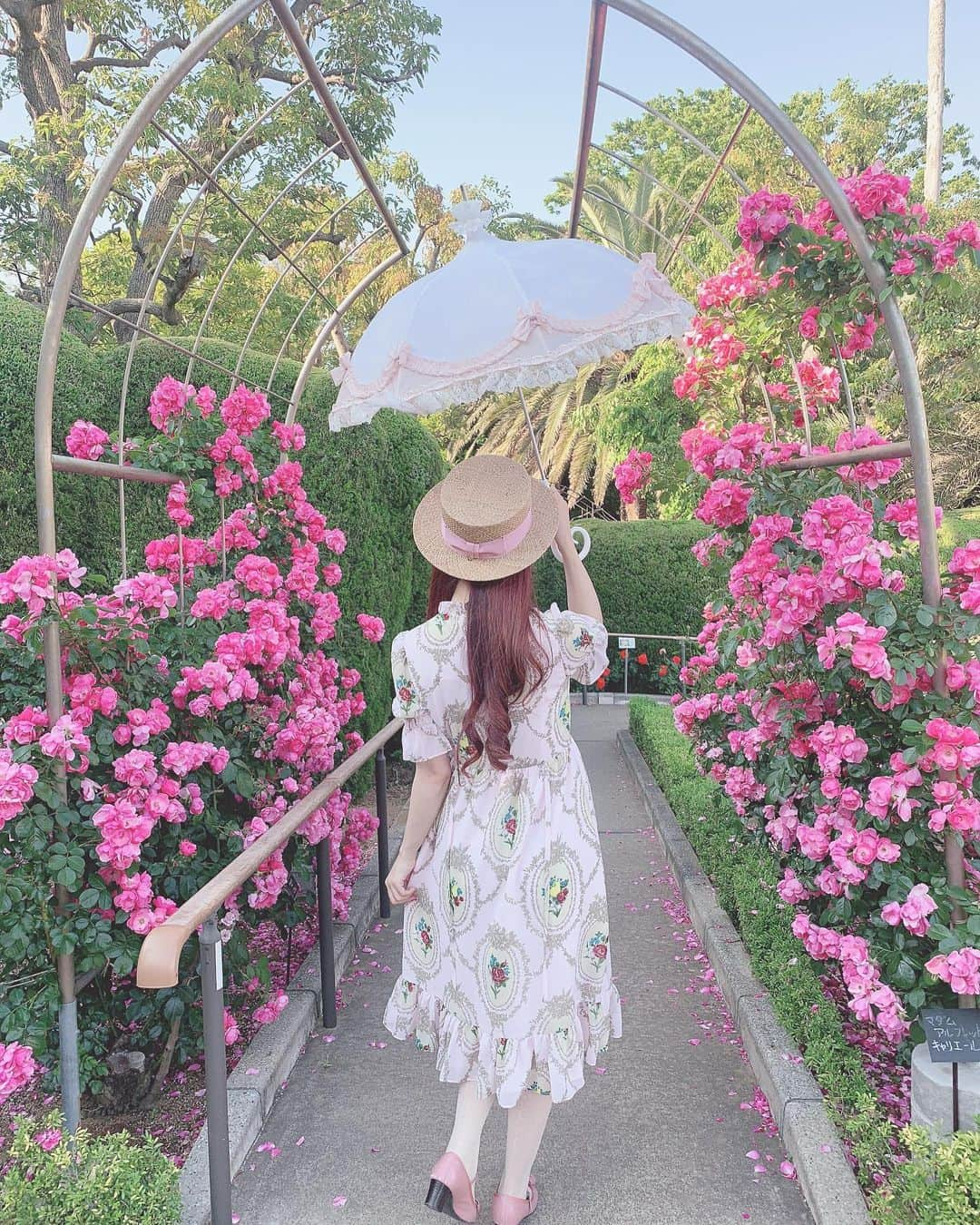 青木美沙子さんのインスタグラム写真 - (青木美沙子Instagram)「薔薇🌹 #バラ園」5月23日 17時11分 - misakoaoki