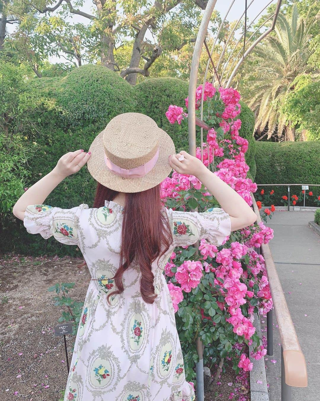 青木美沙子さんのインスタグラム写真 - (青木美沙子Instagram)「薔薇🌹 #バラ園」5月23日 17時11分 - misakoaoki