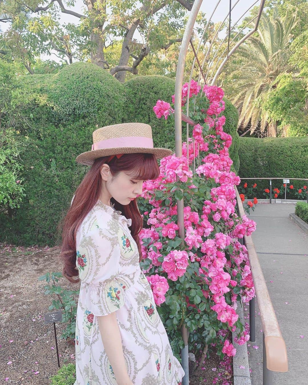 青木美沙子さんのインスタグラム写真 - (青木美沙子Instagram)「薔薇🌹 #バラ園」5月23日 17時11分 - misakoaoki