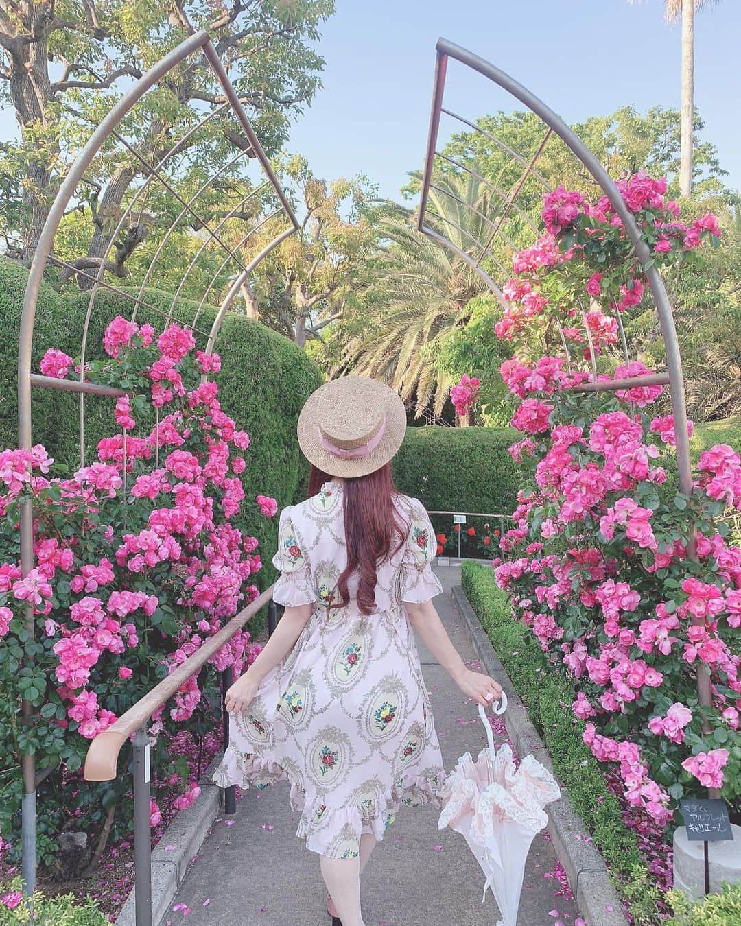 青木美沙子さんのインスタグラム写真 - (青木美沙子Instagram)「薔薇🌹 #バラ園」5月23日 17時11分 - misakoaoki
