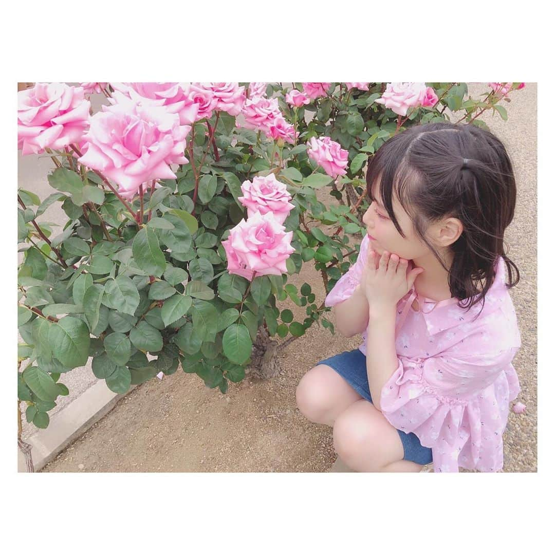 岩田陽菜さんのインスタグラム写真 - (岩田陽菜Instagram)「#バラ祭り のバラ〜💓💓﻿ ﻿ 本当にたくさんのバラが咲いてて綺麗だったなぁ〜☺️💕﻿ ﻿ ﻿ ﻿ ﻿ #STU48 #岩田陽菜 #バラ #rose #pink ﻿ #ヘアアレンジ #ハーフツイン #ピンクメイク #私服」5月23日 17時23分 - hina_naso_stu48