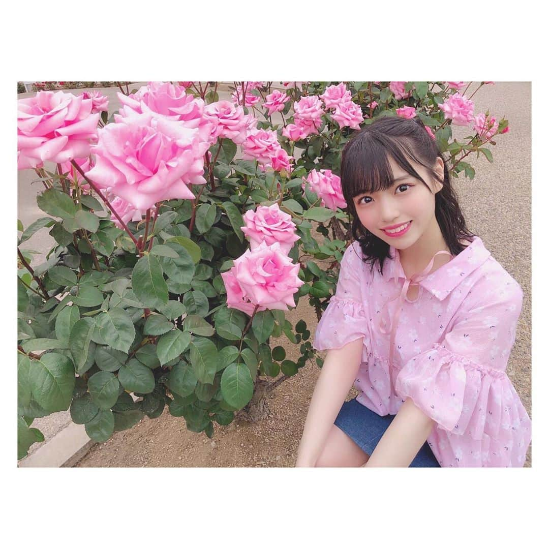 岩田陽菜さんのインスタグラム写真 - (岩田陽菜Instagram)「#バラ祭り のバラ〜💓💓﻿ ﻿ 本当にたくさんのバラが咲いてて綺麗だったなぁ〜☺️💕﻿ ﻿ ﻿ ﻿ ﻿ #STU48 #岩田陽菜 #バラ #rose #pink ﻿ #ヘアアレンジ #ハーフツイン #ピンクメイク #私服」5月23日 17時23分 - hina_naso_stu48