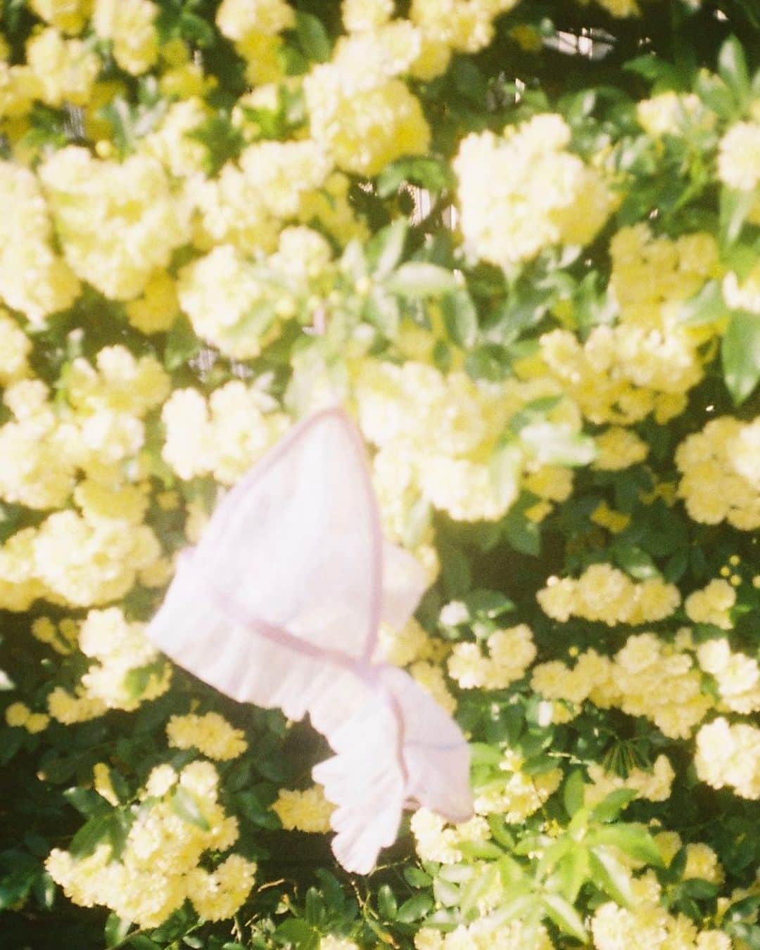 花盛友里のインスタグラム