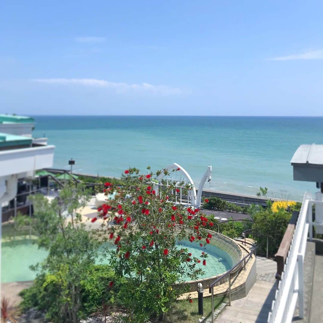 指帆亭のグルメインスタ