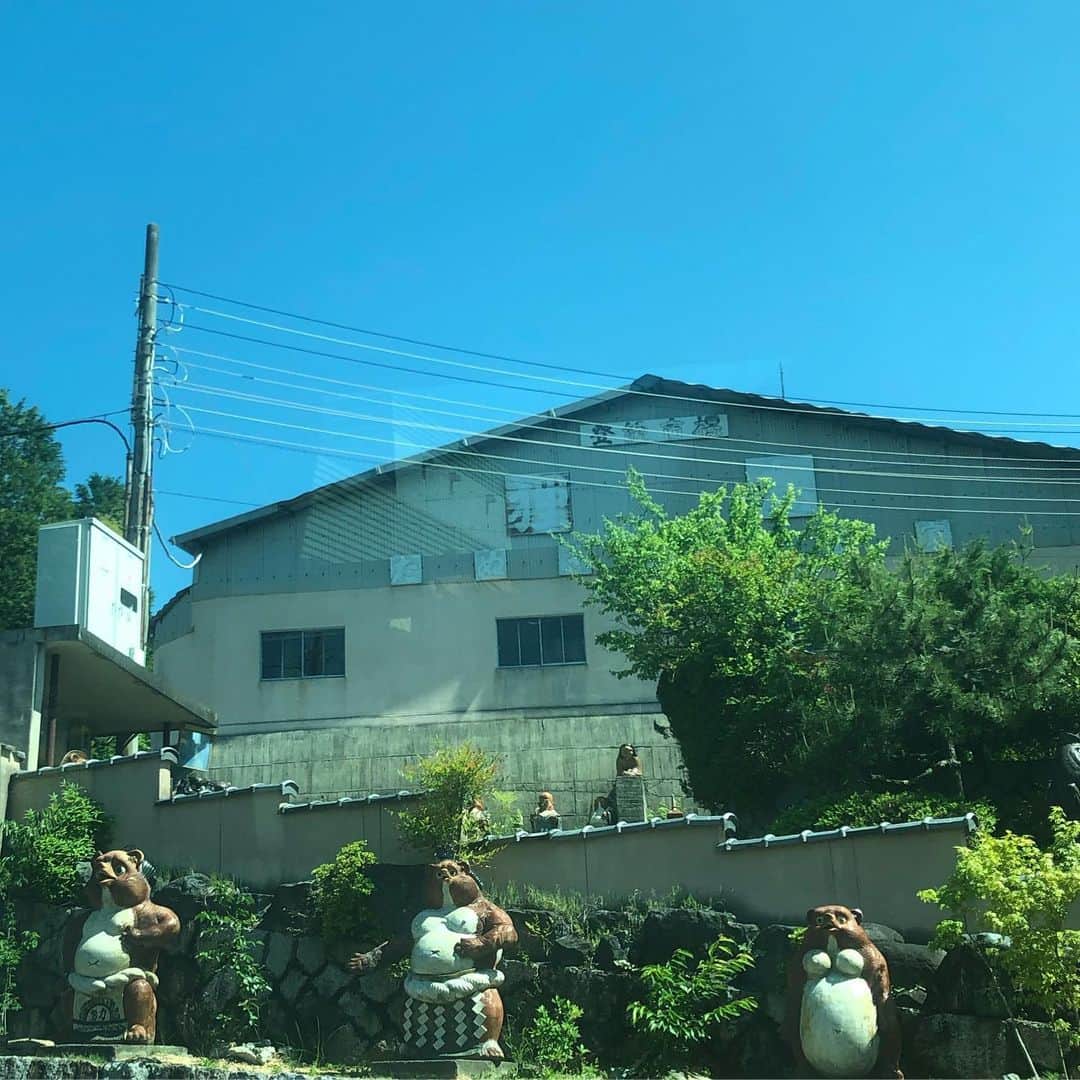 常盤貴子さんのインスタグラム写真 - (常盤貴子Instagram)「雑誌の撮影で信楽へ。 信楽焼といえばタヌキ…。 何故？がやっと分かった。  昭和10年代に京都の陶芸家である藤原銕造さんという方が、山でたぬきの群れが輪になってお腹を叩いている光景を目にし、そこから閃きを得て、縁起物として作ったのがたぬきの置物の始まりとされているそうです。かわいいお話💕  さらに、昭和26年、昭和天皇が行幸で信楽を訪れた際に、地元の方々は、子供の頃からたぬきの置物を集めていらした昭和天皇のために、日の丸を掲げた「たぬきの置物」を沿道に並べて歓迎したそうです。 昭和天皇は深い感銘を受け…  をさなきとき　あつめしからに　なつかしも　 しからきやきの　たぬきをみれば  と詠まれたそうです。 信楽の方々の優しさが伝わるステキなエピソード✨  またゆっくり、行きたいです♫」5月23日 17時54分 - takakotokiwa_official