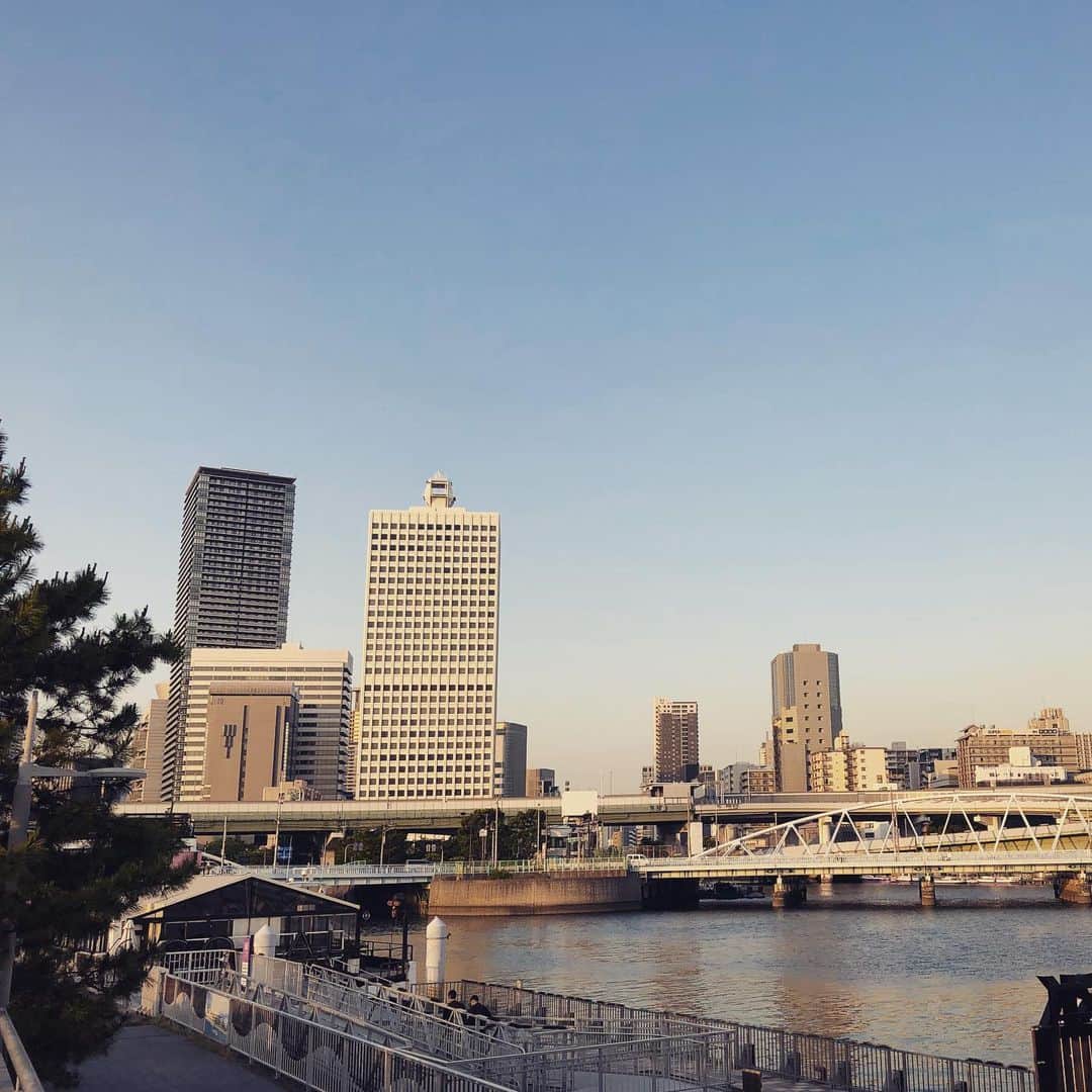 高本剛志さんのインスタグラム写真 - (高本剛志Instagram)「船上レストランで打ち上げ。 ニャンもいてる。 テンション上がる。 #船上レストラン #ニャンコ」5月23日 18時18分 - takamoto76